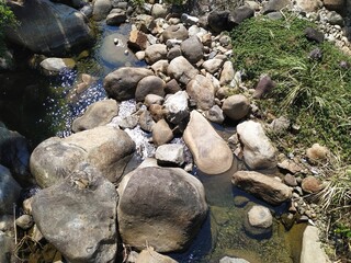 Rocky stream bed with irregular stones and wild green plants on a sunny day