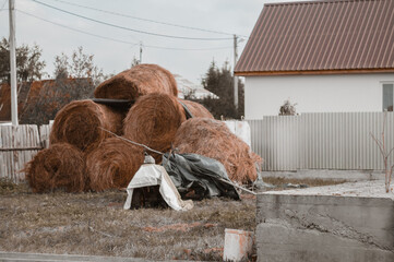 Hay, farm