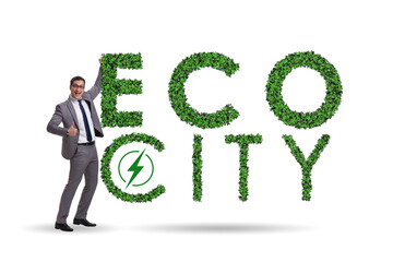 Eco city in ecology concept