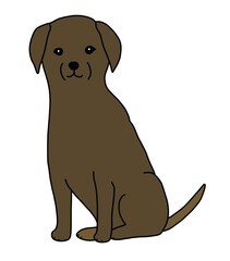 おすわりをするチョコレートラブラドールのイラスト