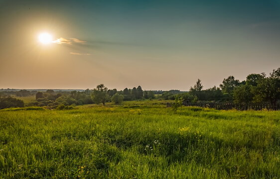 Landscape with field, wildflowers, bushes, grass, trees against the sky with the setting sun © Александр Коликов