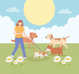 Obraz na płótnie Canvas girl with dogs walking