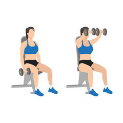 Fototapeta na wymiar Woman doing Seated Dual front raises exercise. Flat vector illustration isolated on white background