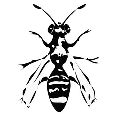bee vector illustration, black and white bee logo