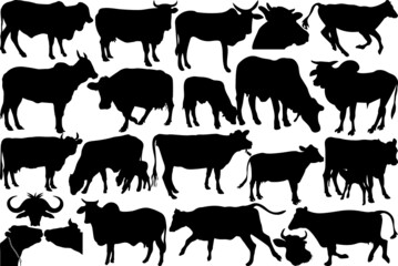 Cow SVG Cut Files | Cow Silhouette | Ox Svg | Cattle Svg | Animal Svg | Cow Bundle