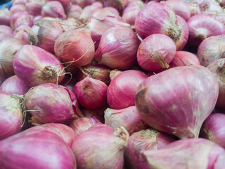 Freshly harvested red onions and ready to be sold in the market