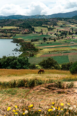 Rural landscape in Colombia