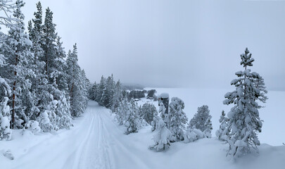 Winter snow-covered forest cliff on a snow lake in Karelia.