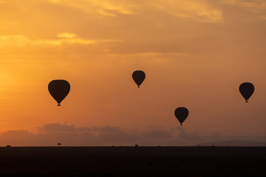 Bei Sonnenaufgang steigen in der Masai Mara die Fesselballons auf