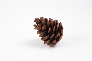 Pine cones