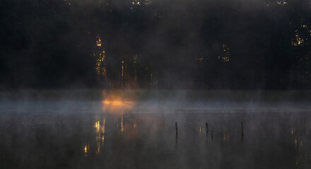 Detail of first sunbeam shine through forest to pond with misty haze, fog. Morning sunrise, late summer Czech landscape