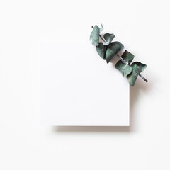 Blank card paper with eucalyptus leaf on white background. top view, copy space
