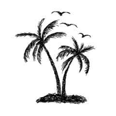 Obraz premium Palm trees, sun and seagulls. Vector illustration