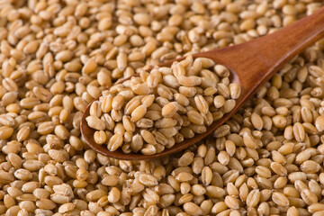 wheat grain in wooden spoon background