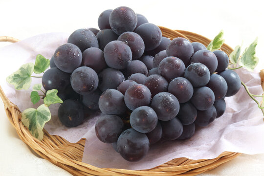 巨峰 の画像 27 572 件の Stock 写真 ベクターおよびビデオ Adobe Stock