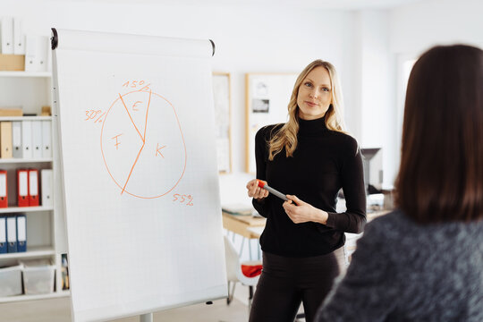 Businesswoman having meeting or training session with co-worker