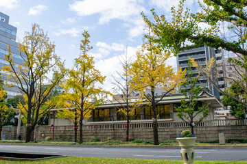 Obraz premium 御堂筋の紅葉