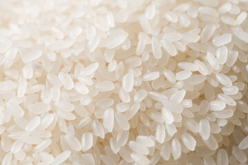 raw white rice textured background