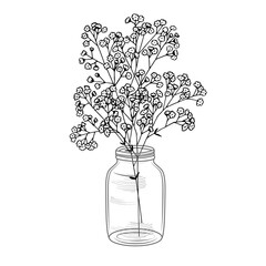 Hand drawn gypsophila flowers in a jar black and white vector illustration