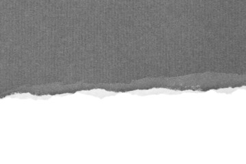 Torn gray paper isolated on white background.