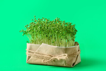Fresh micro green on color background
