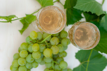 Two glasses of white wine, bunches of grapes and a young vine on a light wooden background. A horizontal snapshot. top view.