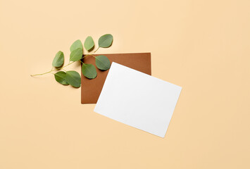 Blank cards and plant branch on color background