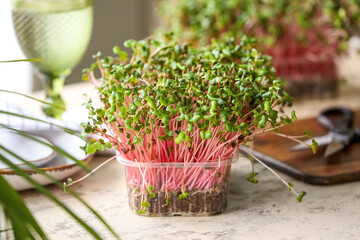 Plastic container with fresh micro green on table