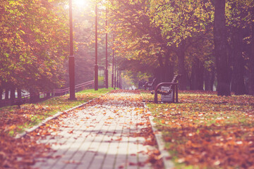Autumn background - view of the city Park in October
