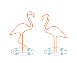 Flamingo outline. Isolated flamingo on white background