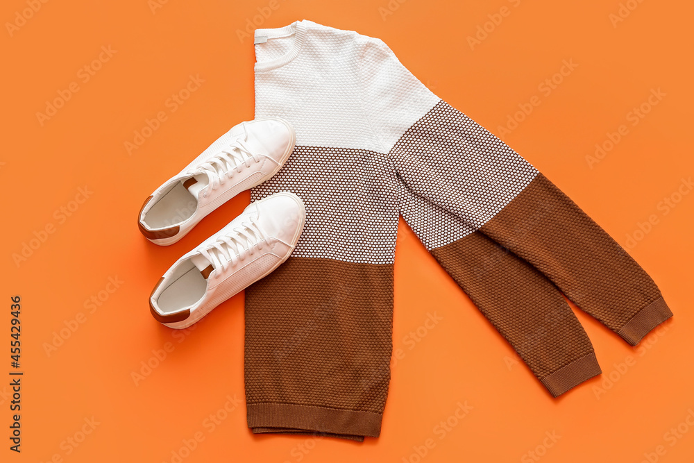 Wall mural Stylish male sweater and shoes on color background