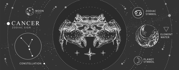 Modern magic witchcraft card with astrology Cancer zodiac sign. Realistic hand drawing crab illustration. Zodiac characteristic © annbozhko