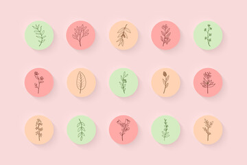 Story highlight cover set vector. Hand drawn floral botanical icons for social media.