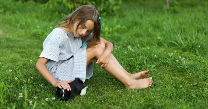 A little girl play with Black Guinea pig sitting outdoors in summer