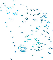 A flock of blue birds. Vector illustration