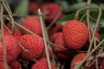 Closeup Lychee fruit (Litchi chinensis Sonn), Thai fruit Linchee  background.