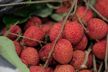 Closeup Lychee fruit (Litchi chinensis Sonn), Thai fruit Linchee  background.