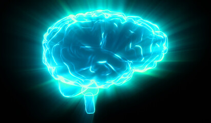 Human brain isolated on black background - 3D illustration