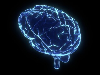 Fototapeta na wymiar Human brain as x-ray illustration - 3D illustration