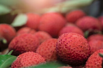 Closeup fresh Lychee fruit (Litchi chinensis Sonn), Thai fruit Linchee  background.