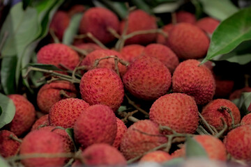 Closeup fresh Lychee fruit (Litchi chinensis Sonn), Thai fruit Linchee  background. Selective focus.