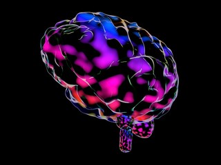 Fototapeta na wymiar Human brain isolated on black background - 3D illustration