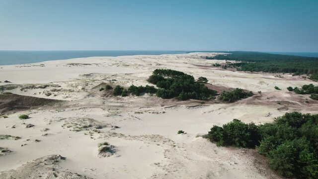 Curonian Spit, Efa dune. A sand dune is bordered by a forest.