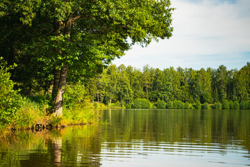 Fototapeta na wymiar lake in the forest park