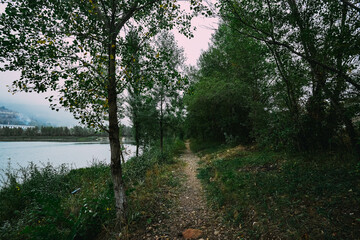Fototapeta premium Path in the forest next to the lake. Beginning of autumn. Rain season. Overcast. End of summer