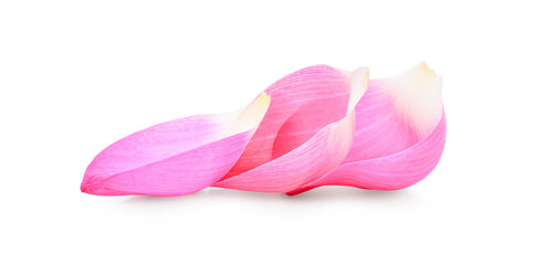 Lotus flower isolated on white background.