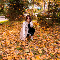 attractive brunette woman holds colorful maple leaves. Lady enjoys autumn nature and relaxes, sitting on  ground and making an autumn bouquet