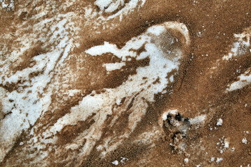 Sand and snow on the Baltic beach in winter