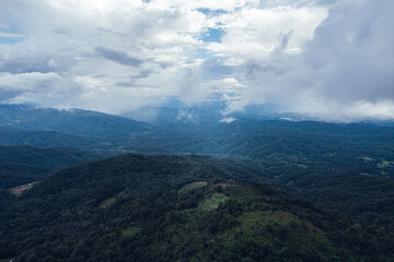Obraz premium Pine forest in the mountains in the morning from above