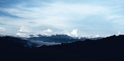 Pine forest in the mountains in the morning from above
